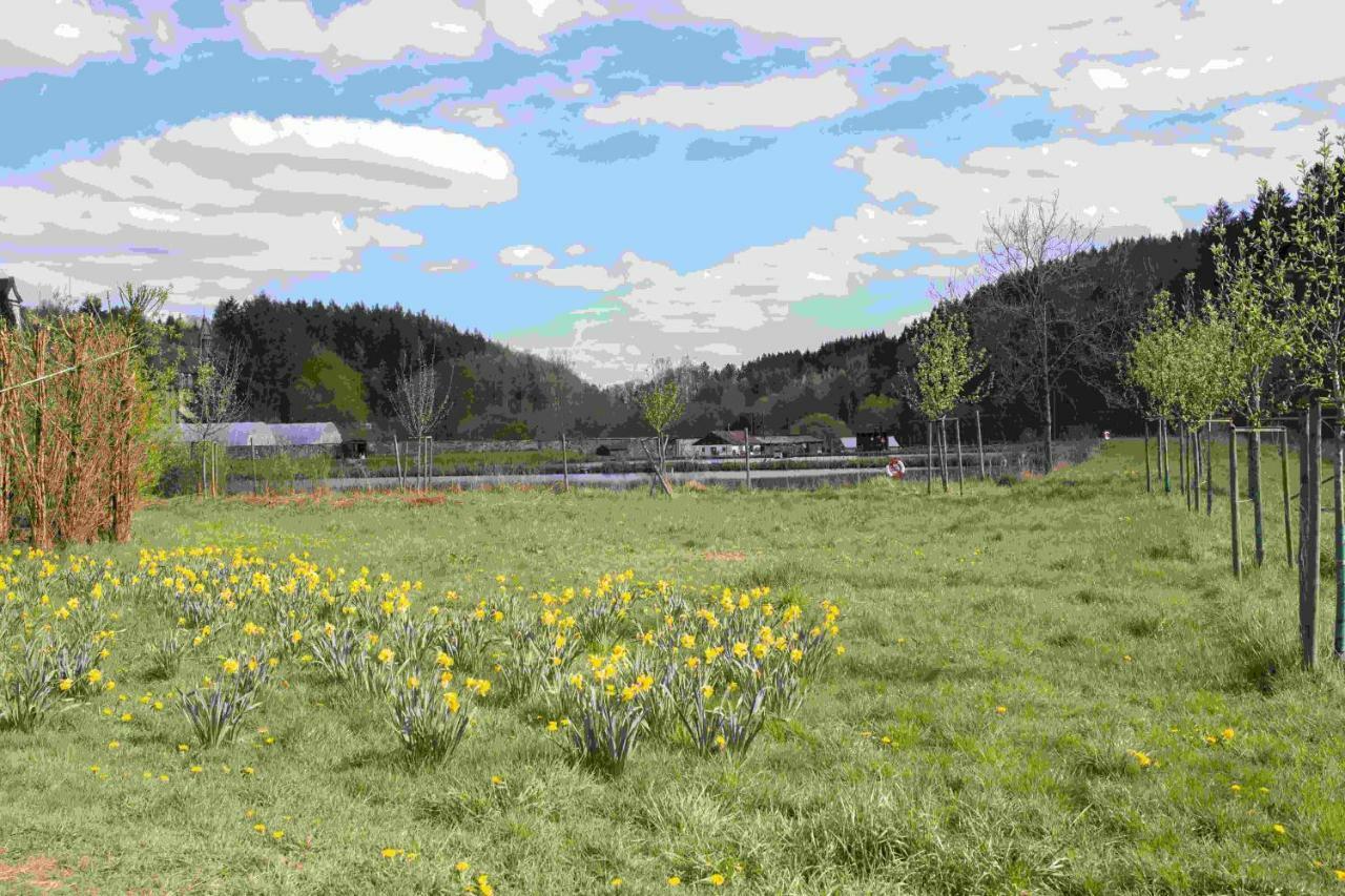 Ferienhaus Salmtal Himmerod Großlittgen Exterior foto