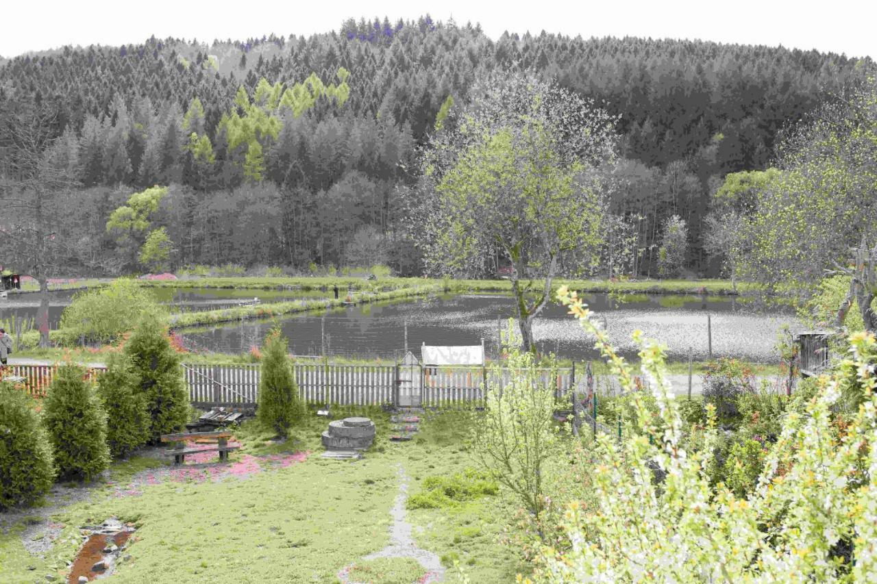 Ferienhaus Salmtal Himmerod Großlittgen Exterior foto